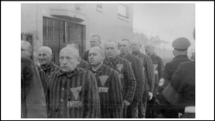 holocaust experiments on homosexuals